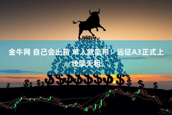 金牛网 自己会出箱 单人就能带！远征A3正式上线擎天租