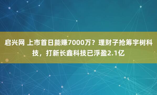 启兴网 上市首日能赚7000万？理财子抢筹宇树科技，打新长鑫科技已浮盈2.1亿
